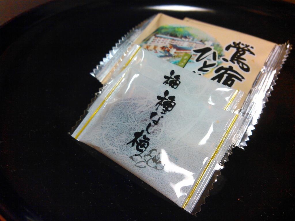 Oushuku Onsen Choeikan 시주쿠이시 외부 사진