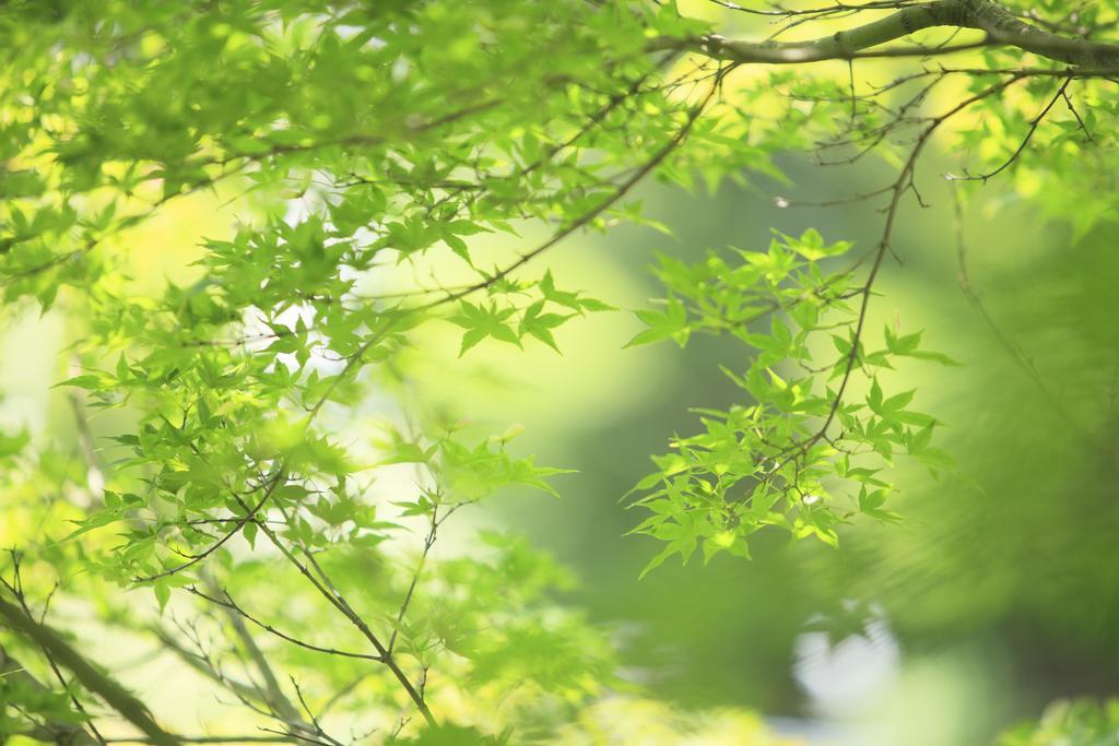 Oushuku Onsen Choeikan 시주쿠이시 외부 사진